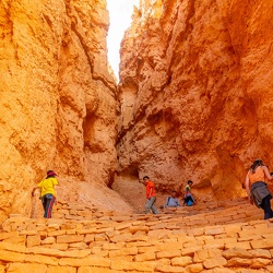 Antelope Island,Salt Lake City ,Bryce Canyon